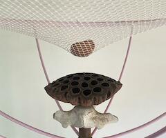 Valentín Asprella Lozano