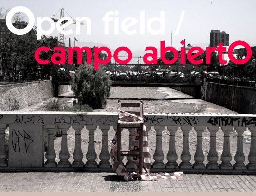 Vol. XXII de la Serie Open field /campo abiertO