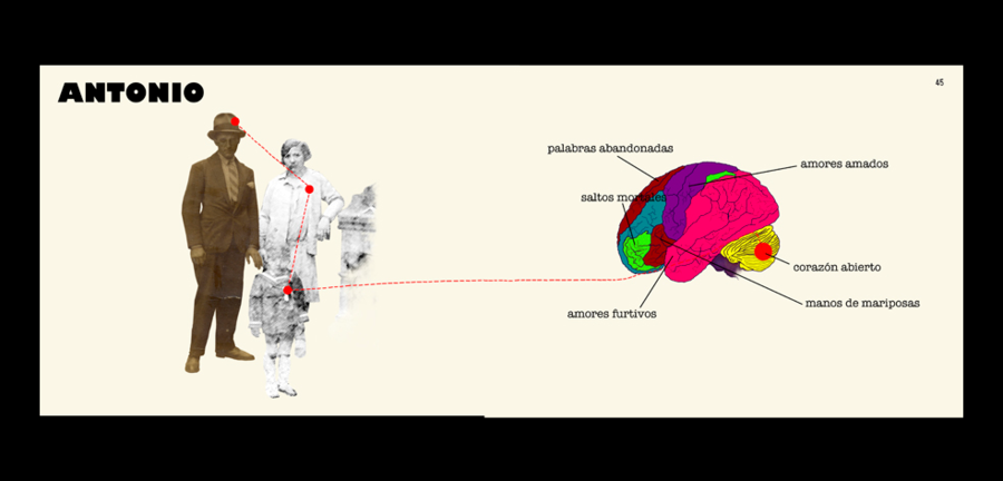 Album de Familia, Pág 44-45