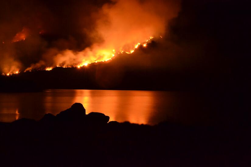 El Bosque Encendido