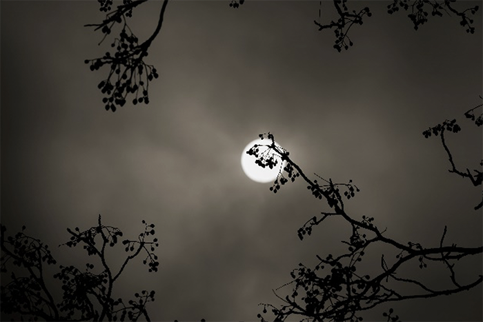 s/t, de la serie “Entre la luna y el sol estuve una tarde”; 2020