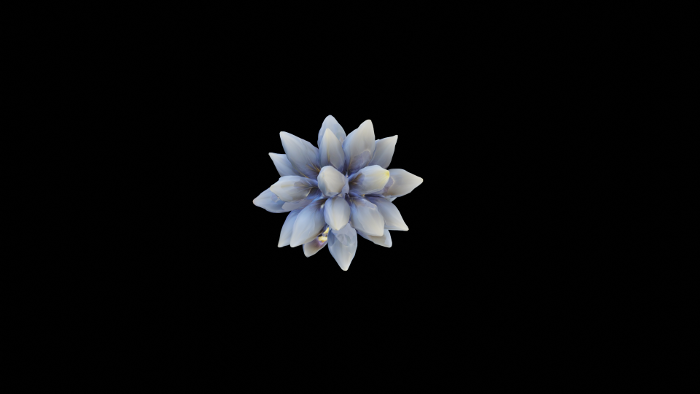 Flores Artificiales 