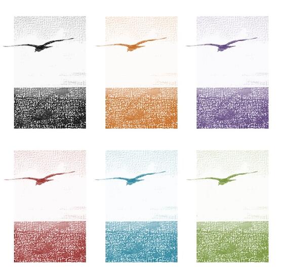 Gabriela Giurlani, Adaptaciones Teatrales