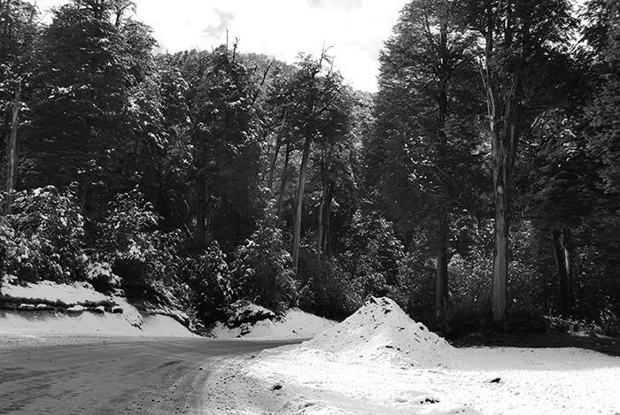 Camino a San Martín de los Andes nevado