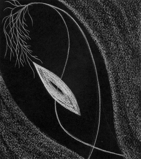 Sin título. Serie Movimientos. Tiza sobre papel negro.