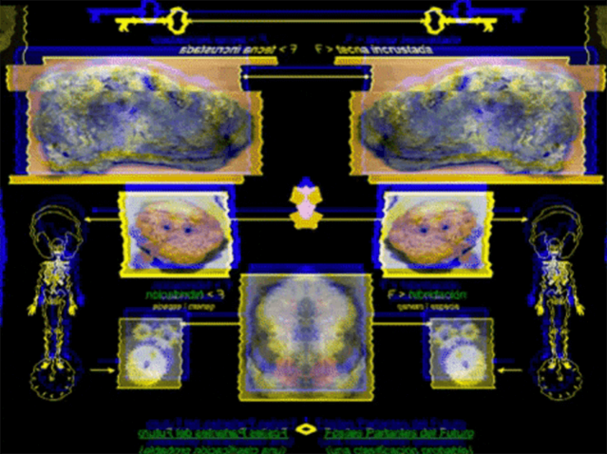 Fósiles Parlantes del Futuro - videoinstalación