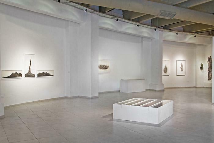 2015. Naturaleza Fragmentada. Sala Museo Provincial de Bellas Artes de Resistencia