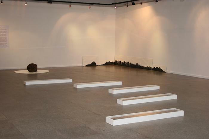 2005. De la Tierra, Sala Centro Cultural Nordeste, UNNE