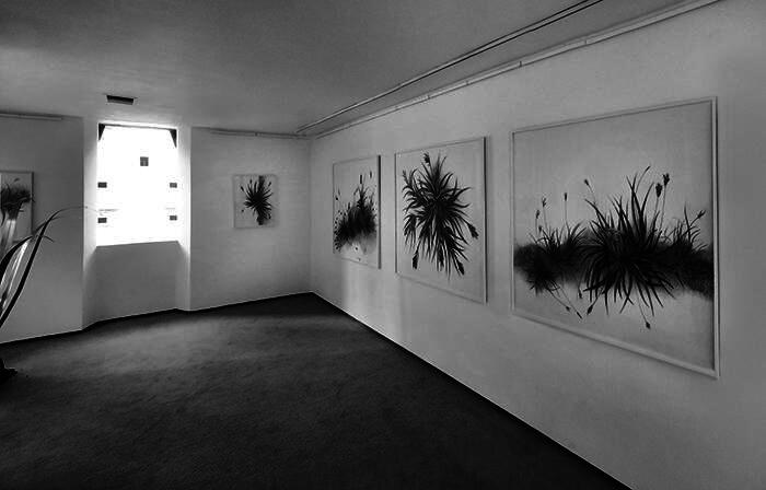 2016. Mientras descansan los árboles, Galería Praxis
