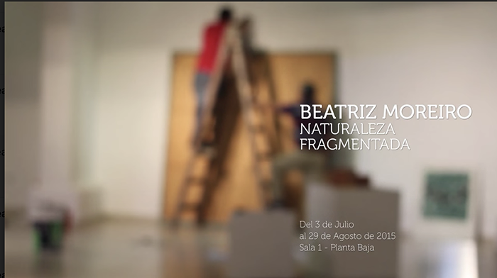 Naturaleza Fragmentada
