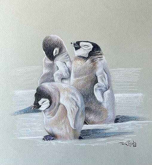 Pingüinos bebes