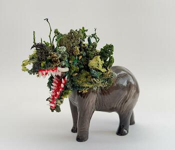 Brizuela, Fernando - Fernando Brizuela. “Monstruo “(elefante) 