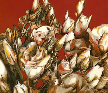Irigoin, Gerardo - Gerardo Irigoin, Desde mi jardin 