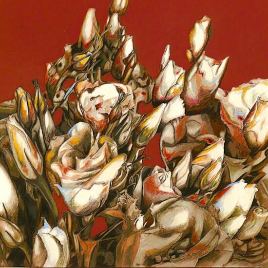 Irigoin, Gerardo - Gerardo Irigoin, Desde mi jardin 
