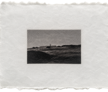 Viñas, Laura - Pradera de Ganso. Serie Malvinas