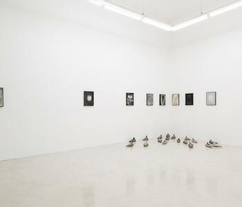 Pasto Galería