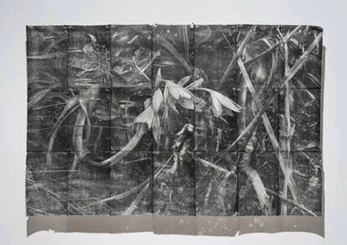 Segundo Premio Adquisición grabado: Andrea Moccio 