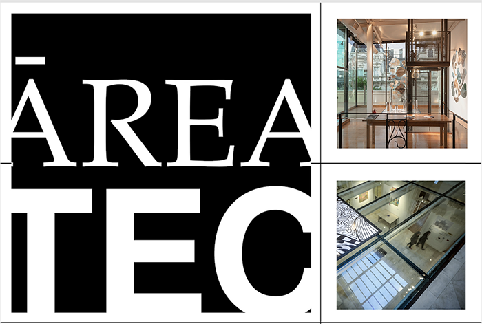 6ta Bienal de Artes Visuales de Areatec