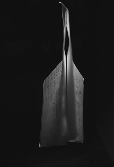 Andrea Rothschild 