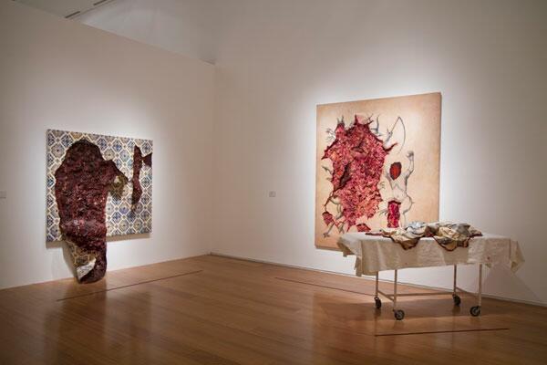 Adriana Varejão en el MALBA