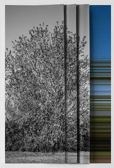Andrea Alkalay