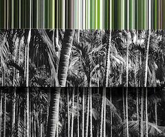 Andrea Alkalay - Detalle - Paisaje sobre Paisaje: cod #34795C  Andrea Alkalay Año 2020 90 x 60. Cm. Marco 100x70 cm