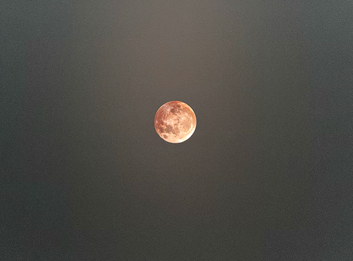 1 luna