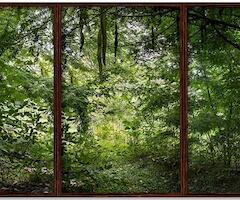 Edén 14 2019  Fotografía digital, impresión giclée. (Tríptico) 100 x 225 cm Serie: 1/7  US$ 2.500