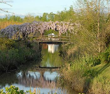 Arte y naturaleza una combinación perfecta en el Delta.