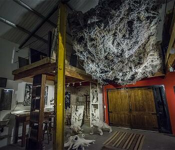 Beca Constelaciones 2026 + Poliniza-La Nave/PAC