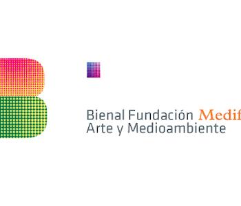 Comenzaron las Jornadas de la Bienal Fundacion Medife Arte y Medioambiente