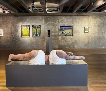 Continente oscuro en MACBA