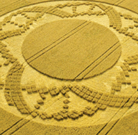 Crop Circles