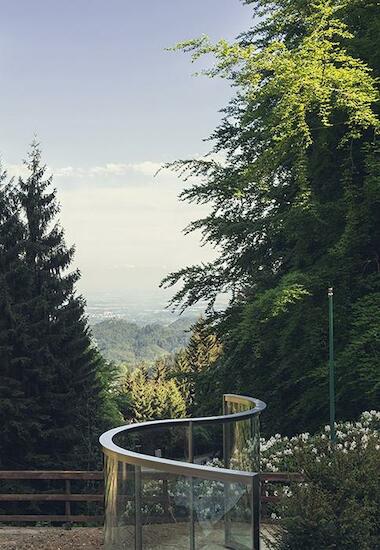 Dan Graham, Two Way Mirror / Hedge Arabesque, 2014   Fondazione Zegna