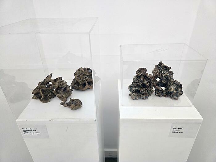 Obras de Lina Cameli