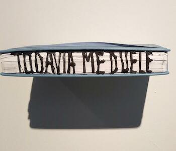 Obra de Diana Schifer