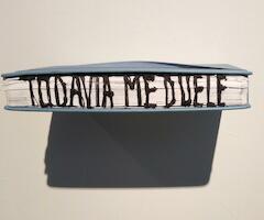 Obra de Diana Schifer