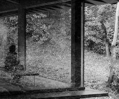 La mujer del bosque Fotografía digital sobre papel fotográfico 15 x 21 cm - 2020 Edición 1/10