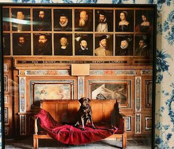 El arte contemporáneo interroga a la modernidad 