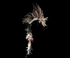 Pem-uk. Corona chamánica con fines mágico-propiciatorios y terapéuticos. Perteneció al chamán Huta Wyhrich (cabello rojo). Karcha Bahlut, Paraguay, ca.1997. Ph. Javier Ortiz Aramburu