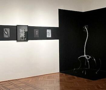 Emilio Renart y Ginevra Landini 