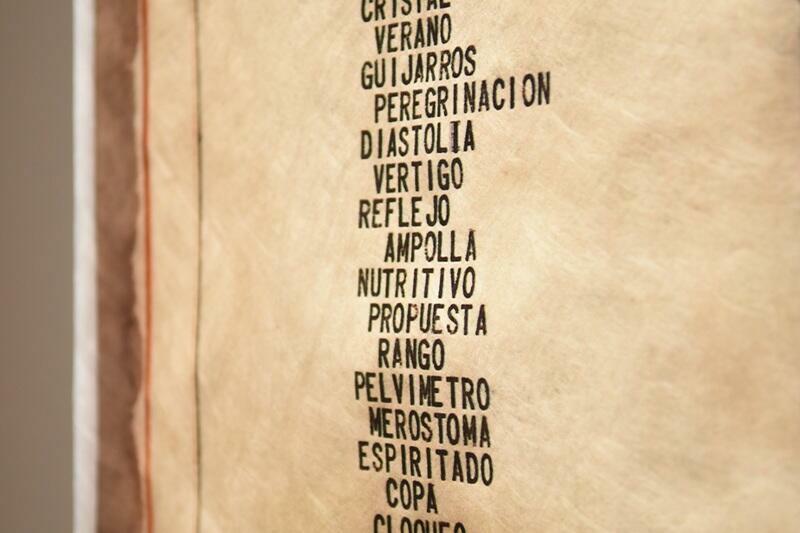 Columna X