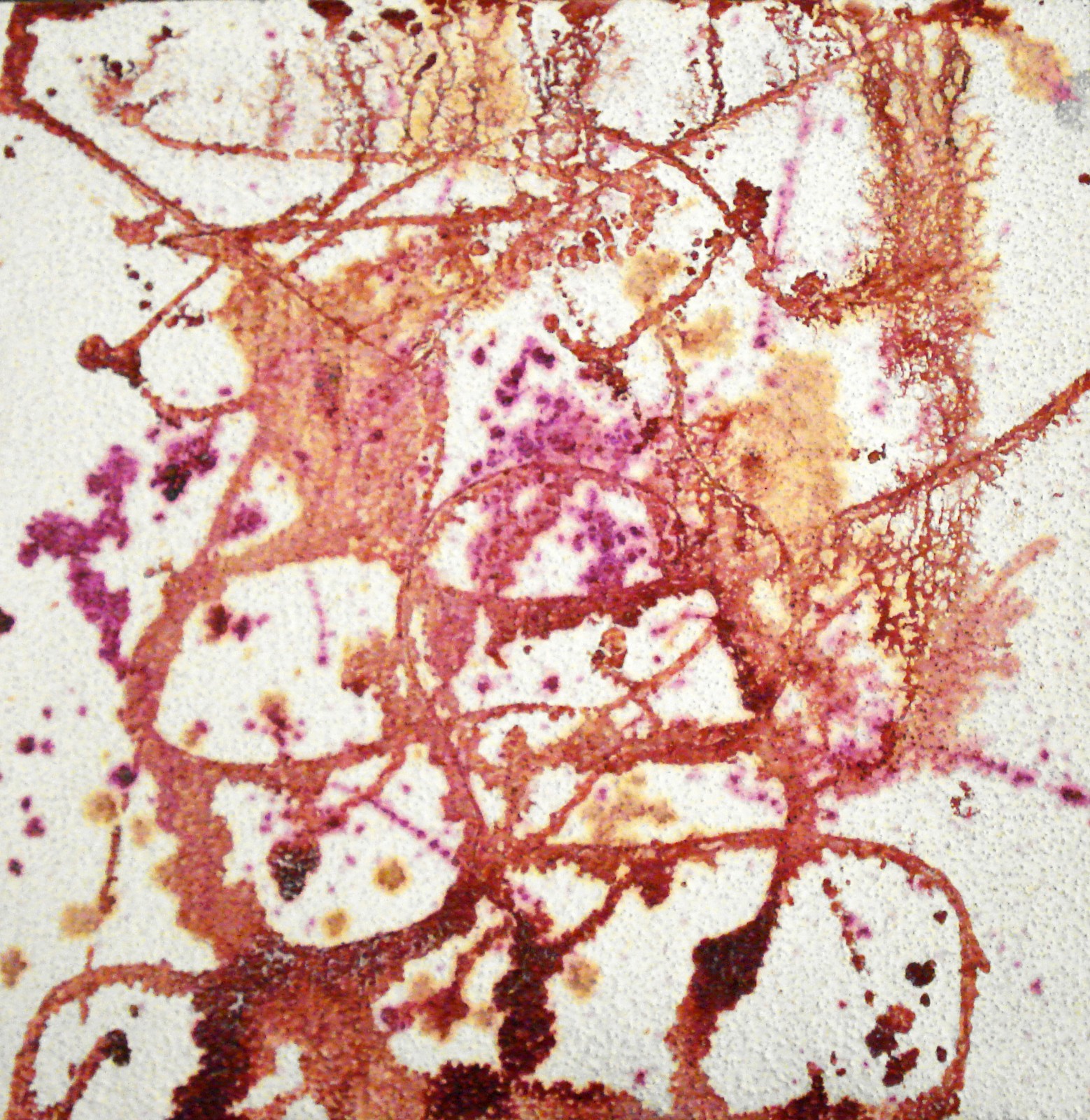 Franco Lippi en EEUU