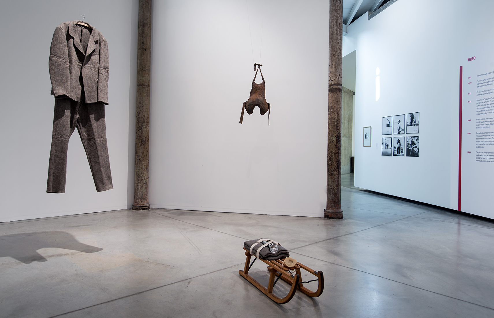 Joseph beuys картины