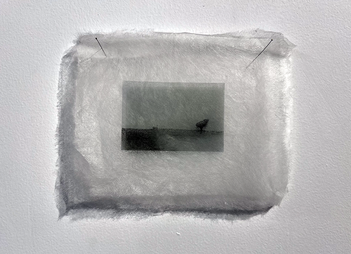 Laura Viñas en el Pabellón de las Artes UCA 