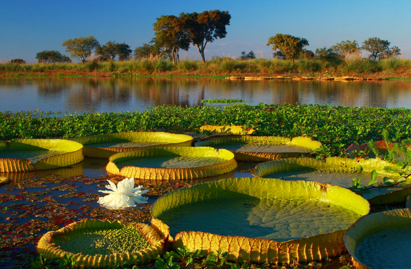 Muestra de Parques Nacionales