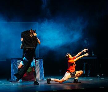 Música, teatro, enseñanza artística y conservación 
