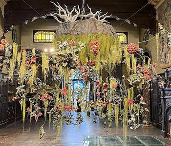 Nicola Costantino en el Museo Estévez