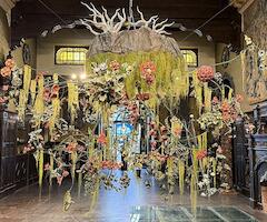Nicola Costantino en el Museo Estévez