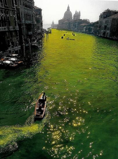 Coloración del Gran Canal de Venecia, 1968   